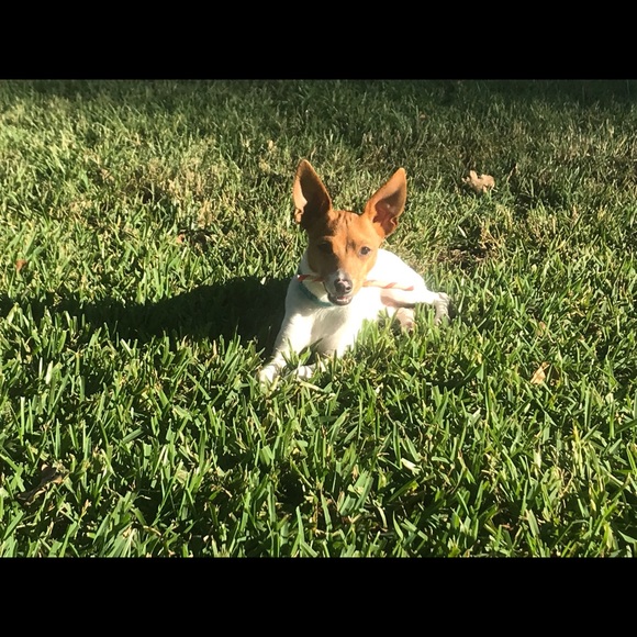 Meet your Posher, J d - Picture 1 of 1